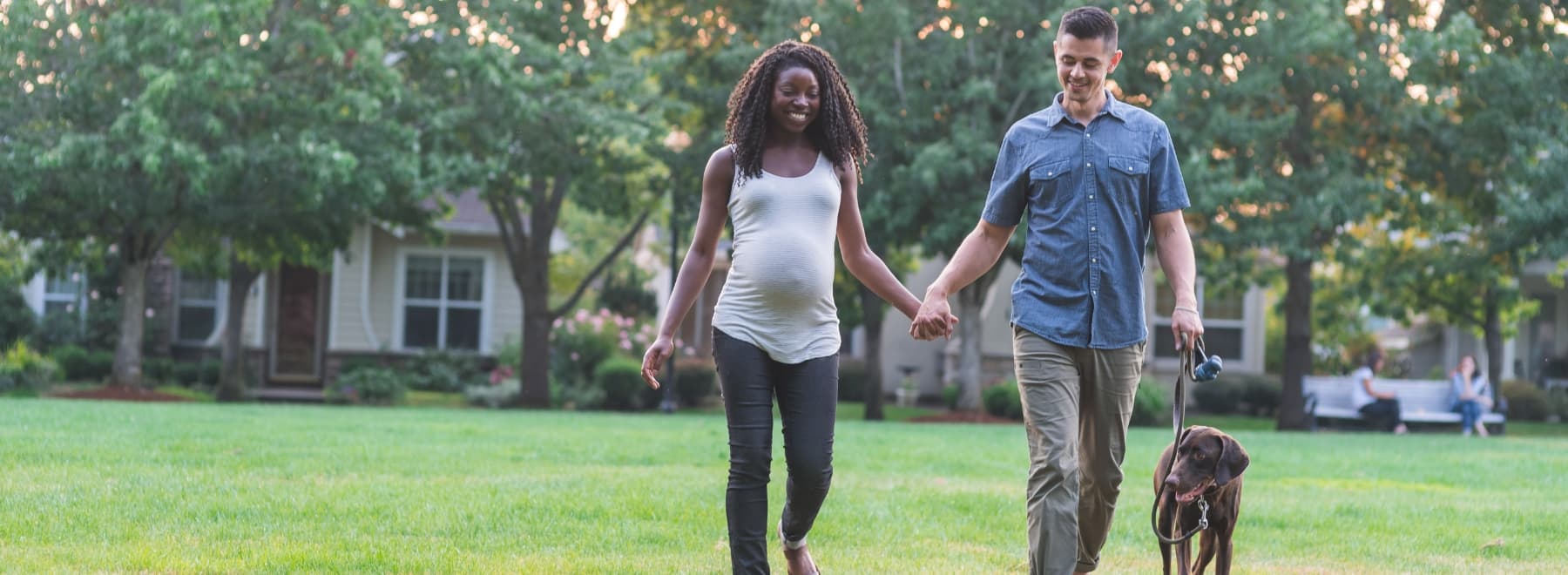 Man and pregnant woman hold hands while walking their dog through a park